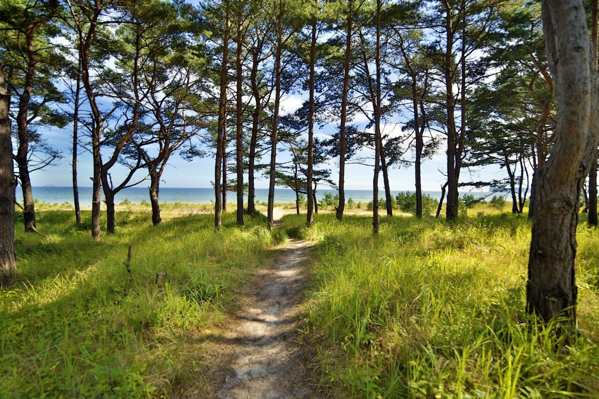 Ferienwohnung Sonnenschein Haus Hiddensee Prora Бінц Екстер'єр фото